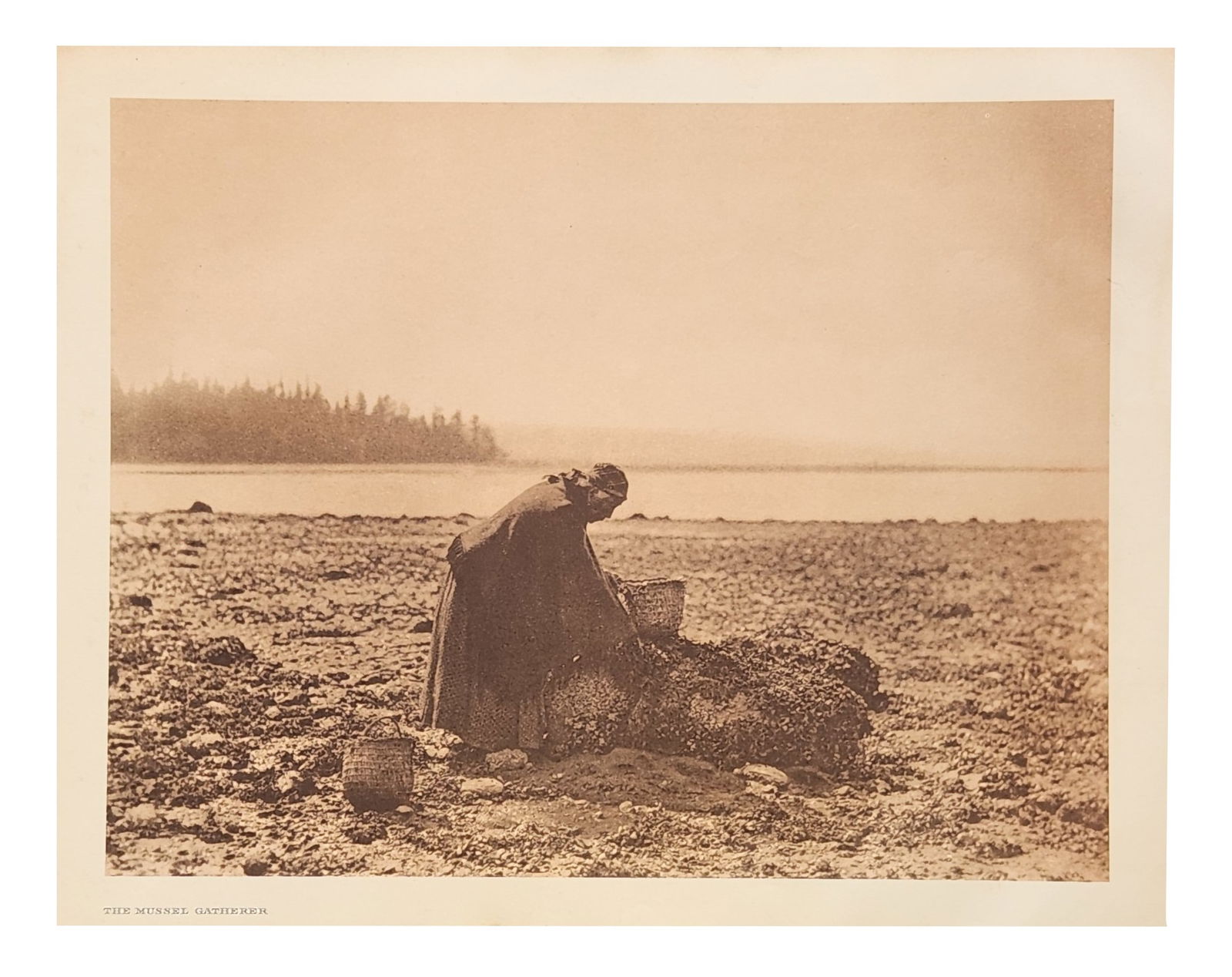 Edward Sheriff Curtis (1868 - 1952) American: Edward Sheriff Curtis (1868 - 1952) American Title: The Mussel Gatherer Print Caption - Engraving Date: 1900 Measure 13"in H x 18"in W no framed