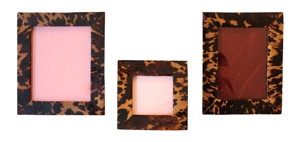 Set of Three Faux Tortoise Shell Picture Frames