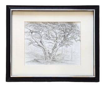 Vintage 1990 Dushinske Graphite Landscape – Original Tree Illustration, Framed