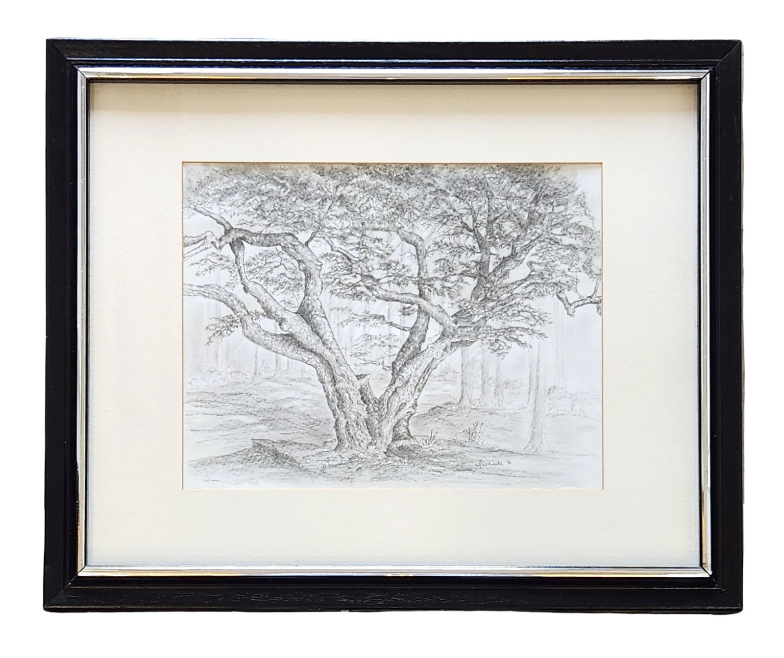 Vintage 1990 Dushinske Graphite Landscape – Original Tree Illustration, Framed (1 of 5)