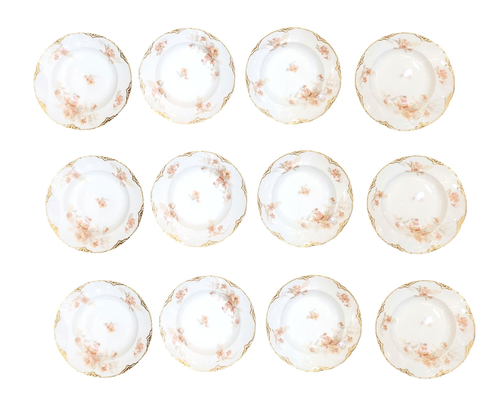 Set of 12 Haviland Limoges Porcelain Plates with Floral Decoration (1 of 3)