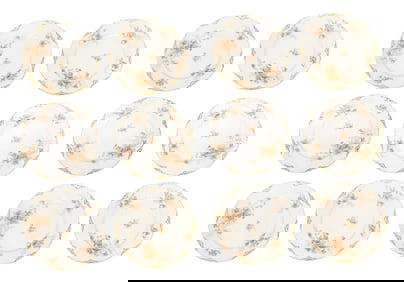 Set of 12 Haviland Limoges Porcelain Dinner Plates with Floral & Gilt Decoration