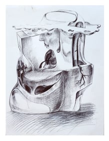 Danilo Maldonado Machado (El Sexto) ( 1983) Cuba