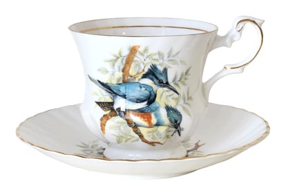 Queen’s Rosina Fine Bone China “Birds of America?? Teacup & Saucer, Series I, England