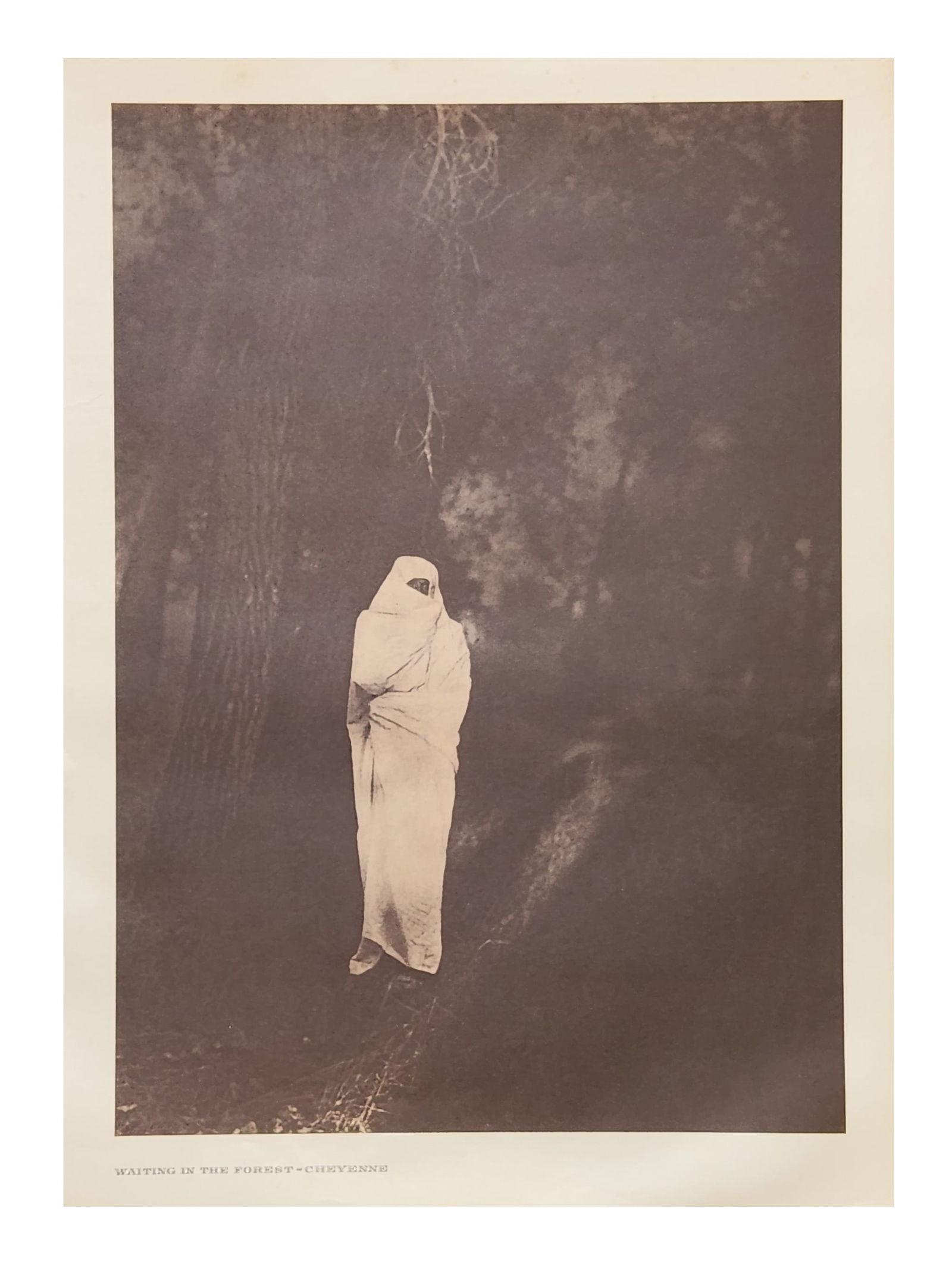 Edward Sheriff Curtis (1868 - 1952) American (1 of 4)