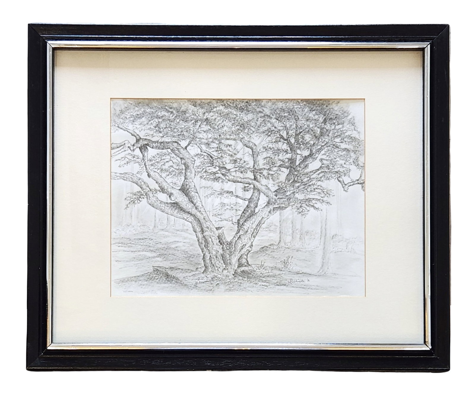 Vintage 1990 Dushinske Graphite Landscape – Original Tree Illustration, Framed (1 of 5)