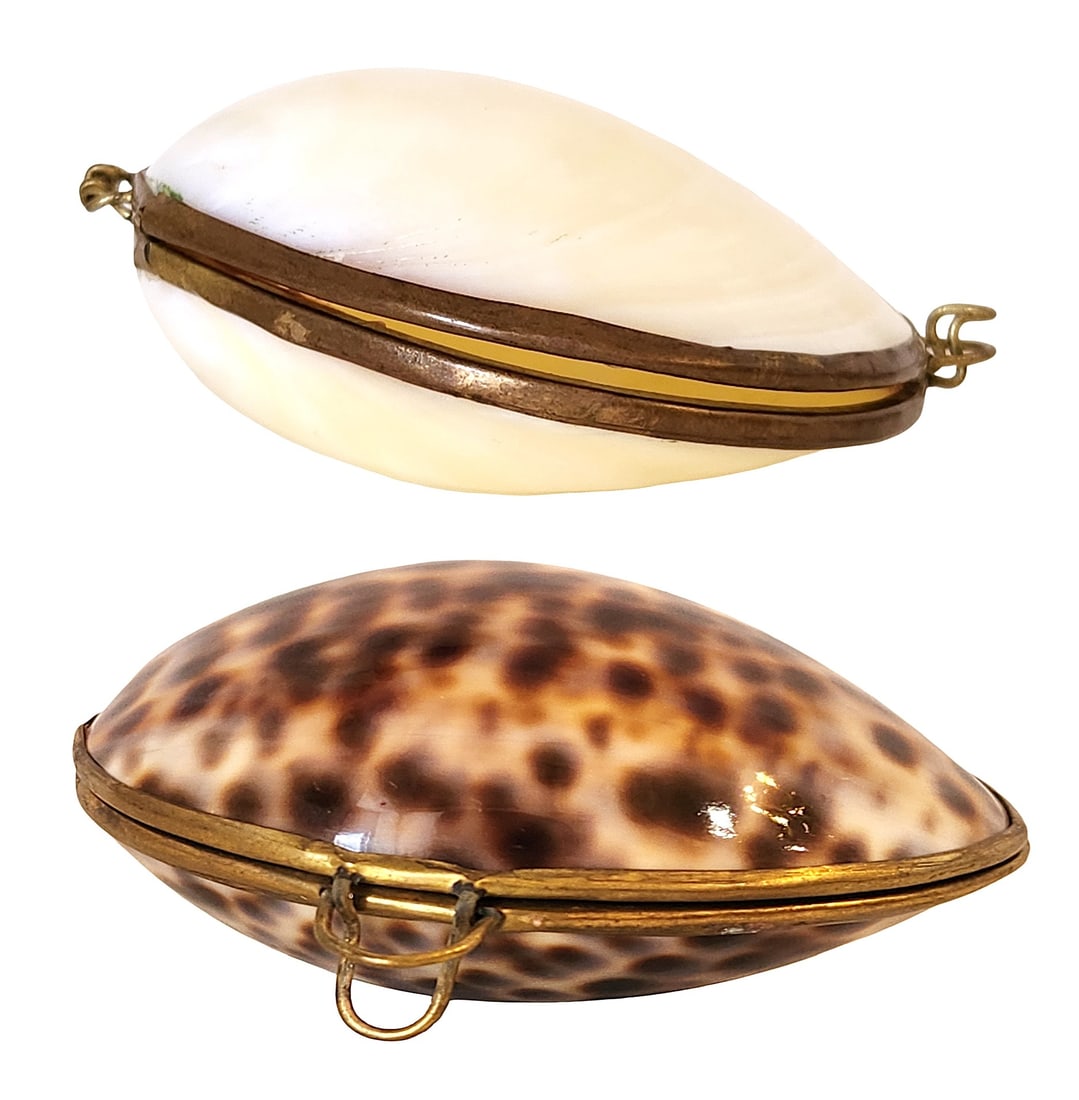 Vintage Cowrie Shell Hinged Trinket Box with Brass Mounts: Vintage decorative trinket box made from a natural cowrie shell with brass hinge and frame. The shell retains its natural spotted pattern on the exterior and smooth pale interior, creating an attracti