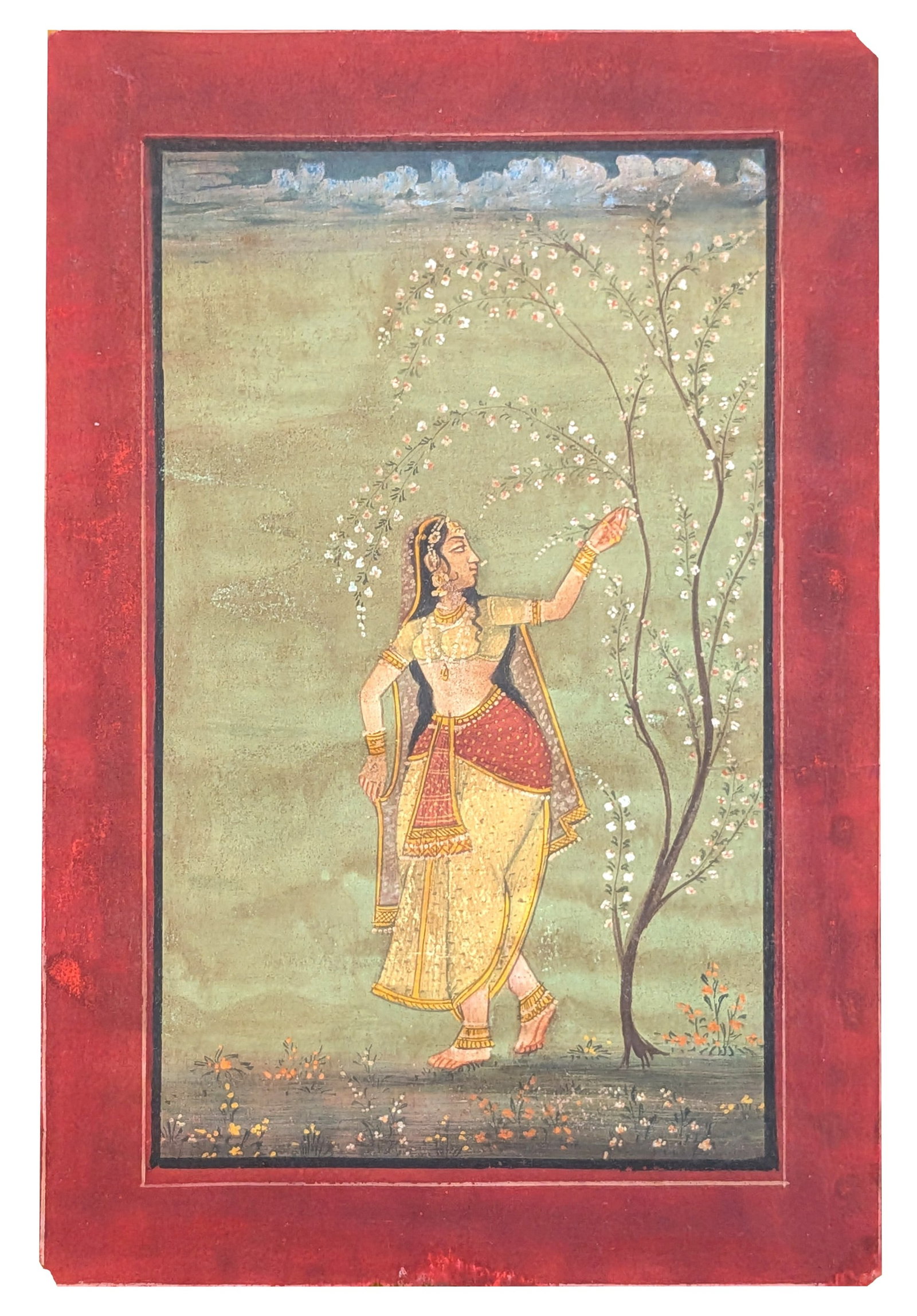 Indian Miniature Painting of a Noblewoman Gathering Blossoms: Indian miniature painting depicting a finely dressed noblewoman standing beneath a flowering tree, reaching upward to gather delicate white blossoms. She is shown in elegant profile wearing a cream an