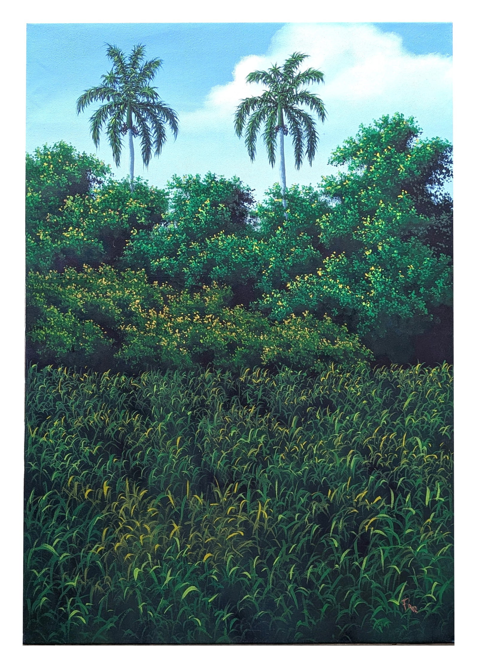 Tropical Landscape with Royal Palm Trees, Signed "FR," Oil on Canvas: Vivid tropical landscape featuring two royal palm trees rising above dense green foliage and a lush field of grasses beneath a bright blue sky with soft white clouds. Executed in a detailed, naturalis