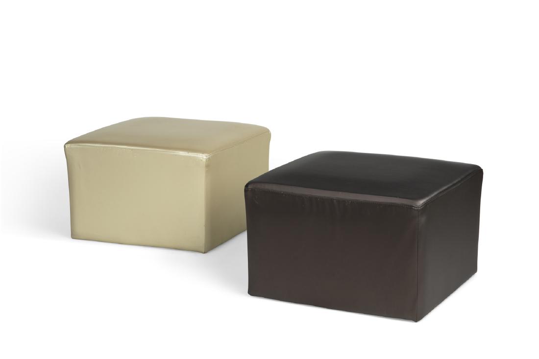 A pair of Ligne Roset cushions: A pair of Ligne Roset cushions contemporary height 13 1/4in (33.5cm); width 21in (53.5cm); depth 21in (53.5cm)Provenance: Property from a Residence Decorated by Patahaus Italian Design.