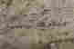 item-71600427=6