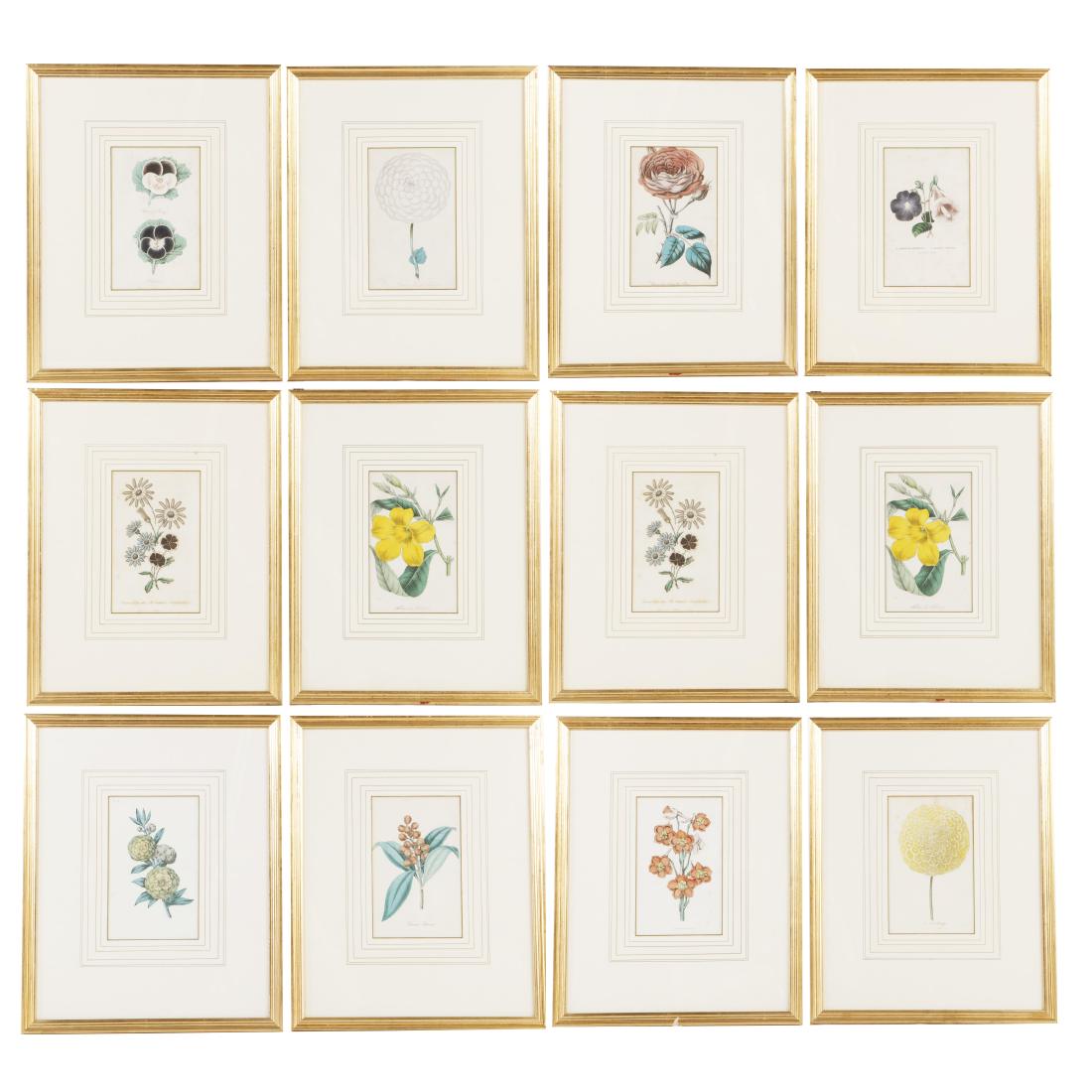 A set of twelve botanical engravings: A set of twelve colored botanical engravings Handsomely framed and matted. overall 17 3/4 x 14 1/4in (45 x 36cm)