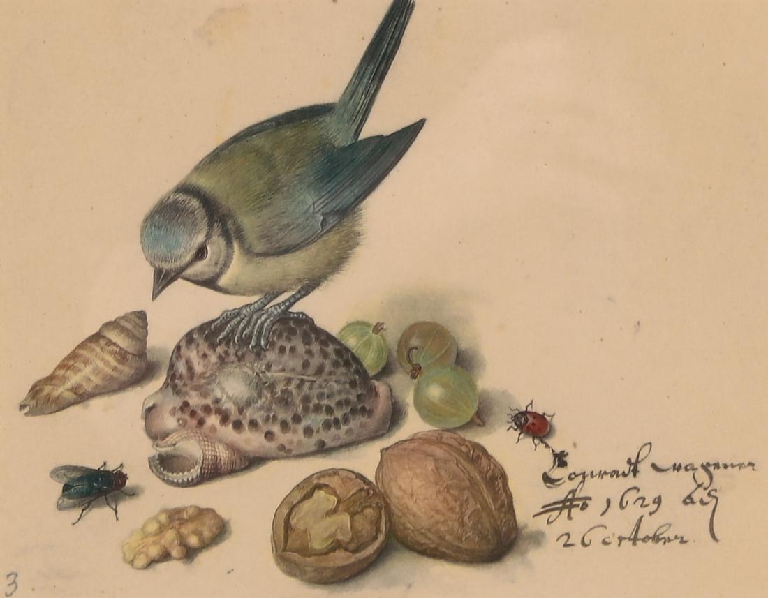 Three reproduction color prints of birds (1 of 5)