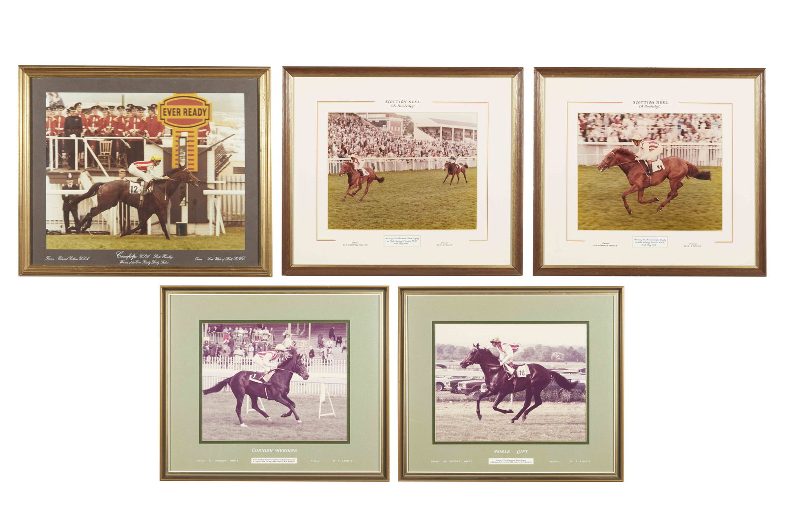 Five photos of race horses owned by Lord White (1 of 6)