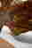 item-114401341=4