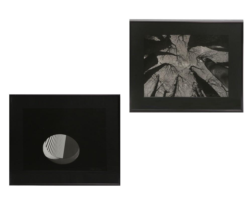 Two Photographs, gelatin silver prints (1 of 7)