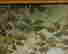 item-121097332=4