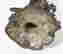 item-121097336=3