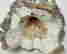 item-127026429=5