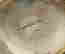 item-131926704=4