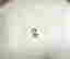 item-131926704=5