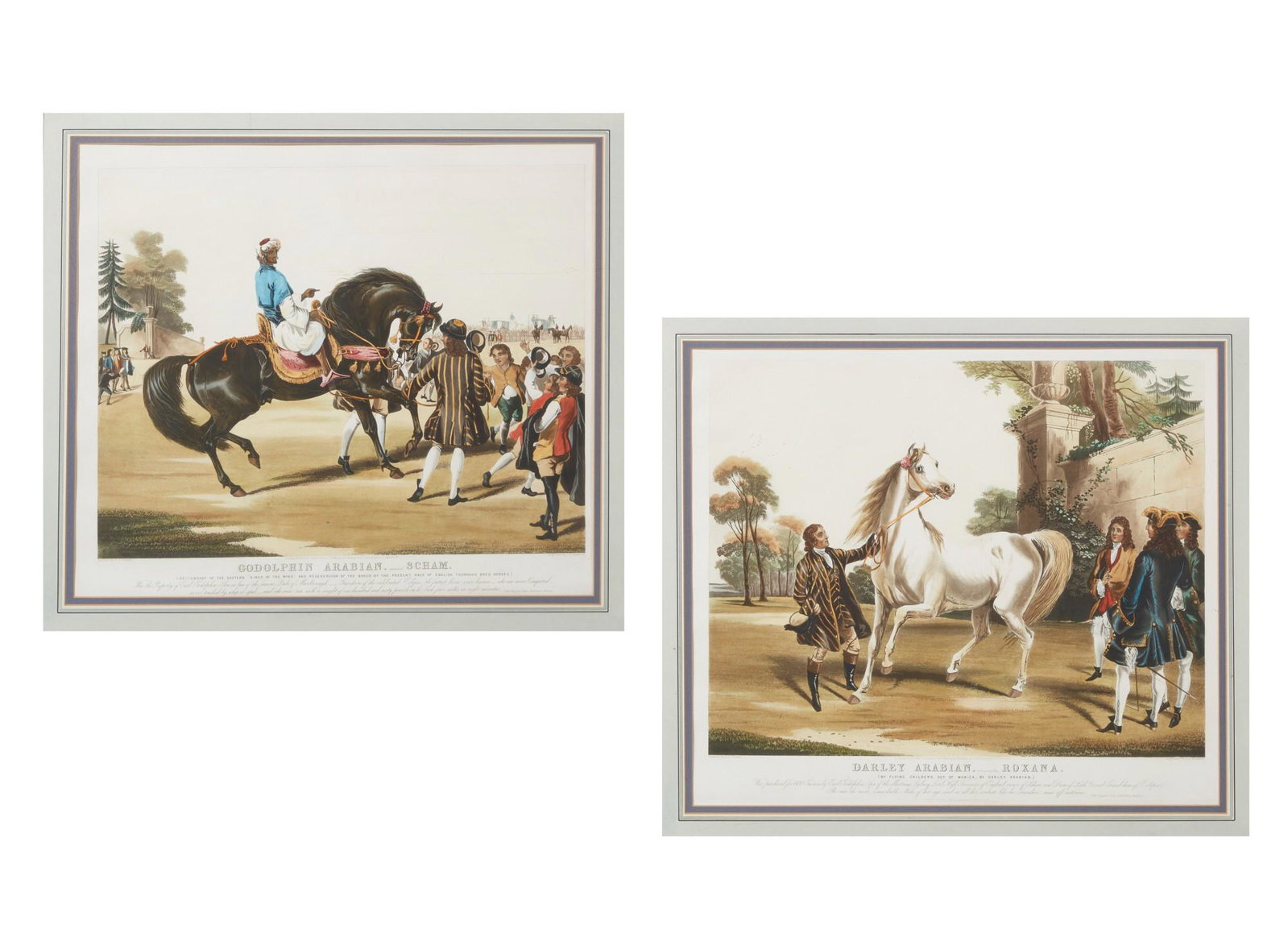 After Francis Turner, 1842 (2), lithographs: After Francis Calcraft Turner (British, 1782 - 1846) Darley Arabian Roxana; Goldolphin Arabian Scham, 1842 (2) lithographs in color on wove paper with hand coloring and highlighting, engraved by J.S. 