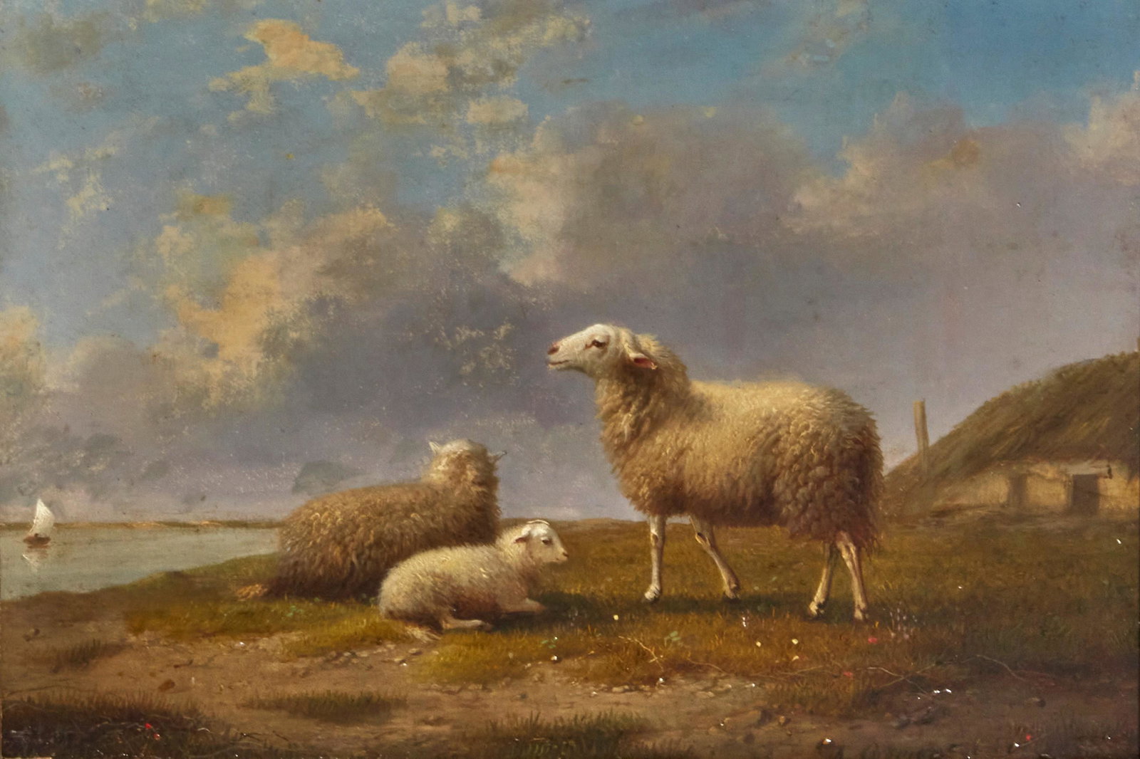 Auguste Coomans, Grazing sheep: Auguste Coomans (Belgian, 1855-1896)Grazing sheepoil on panelsigned lower right A. Coomans, a paper label inscribed and signed to reverse7 x 10 1/4in (18 x 26cm)