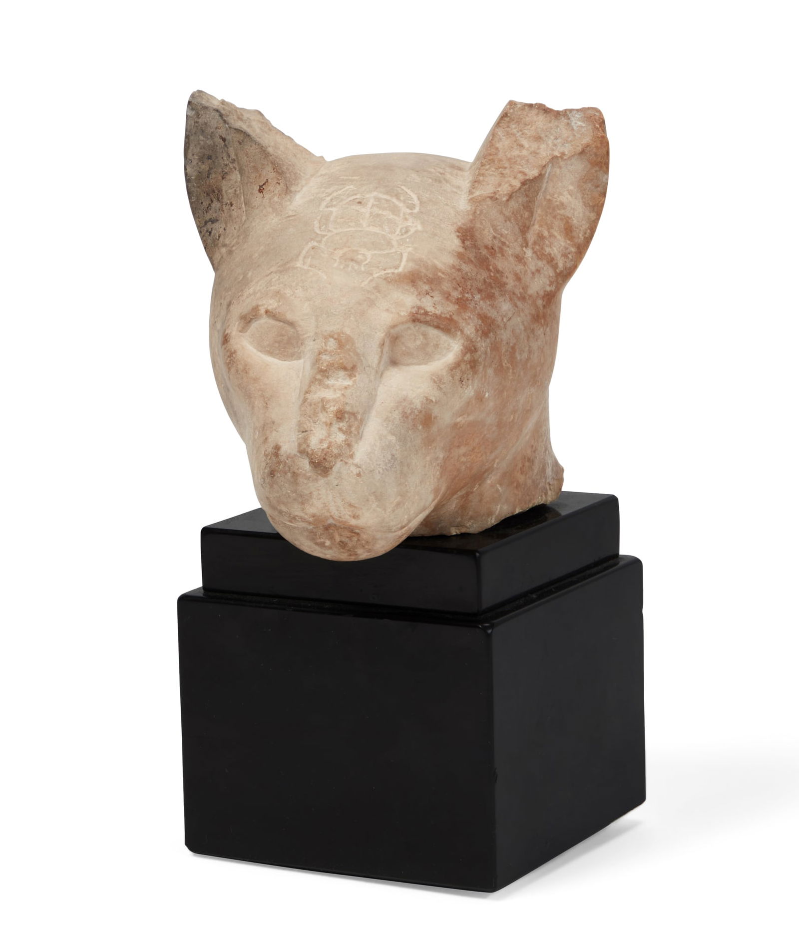 An Egyptian limestone head of a cat (1 of 3)