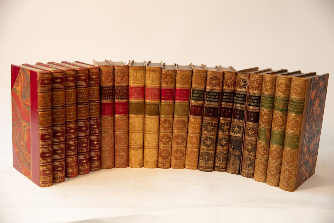 19 leather bound books: European Bio and History (1 of 1)