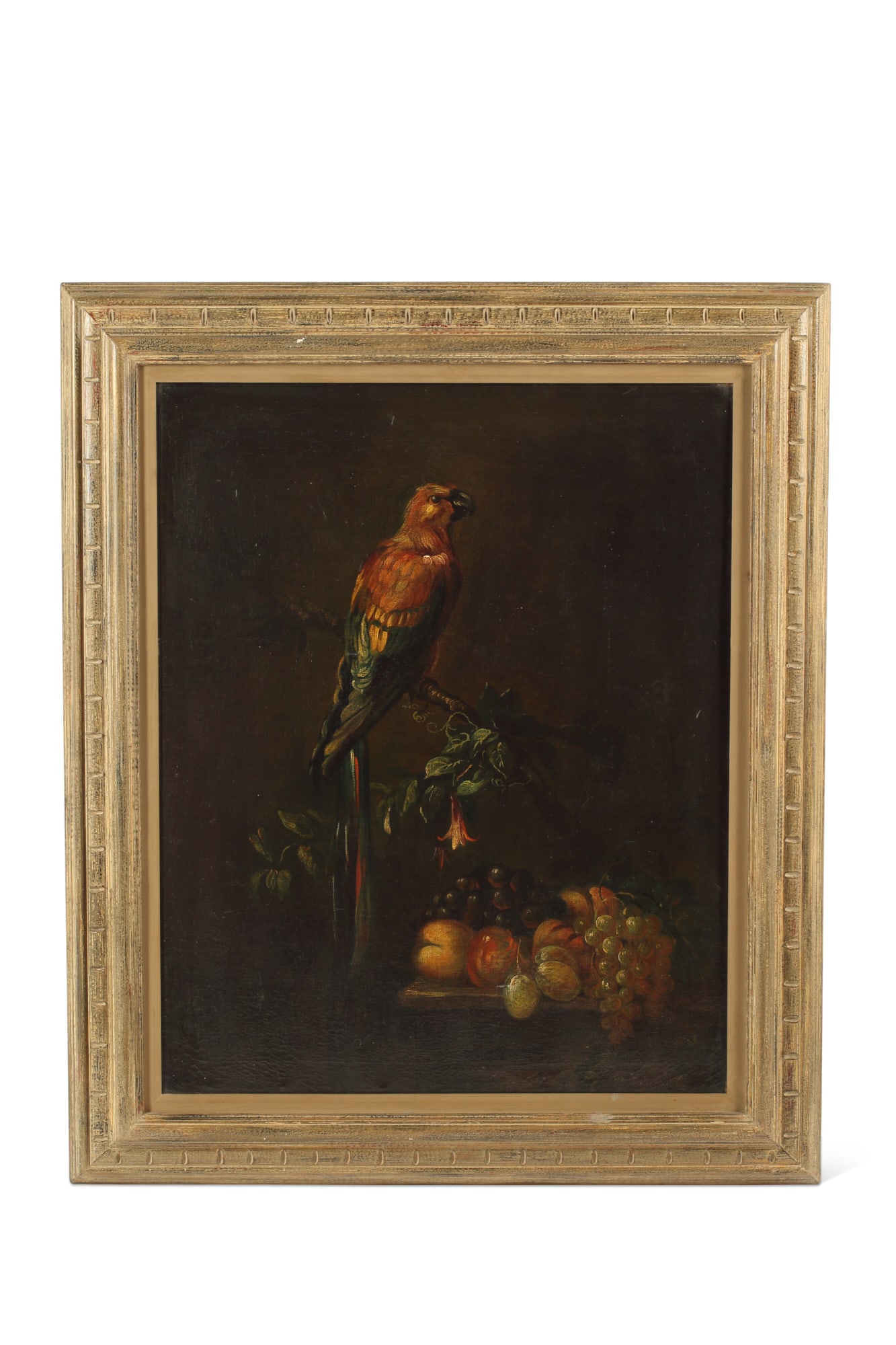Continental School, parrot perched above fruit: Continental School20th centuryA parrot perched above fruit on a tableoil on canvas30 x 24in (76 x 61cm)