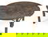 item-170036175=13