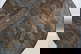 item-170036175=4