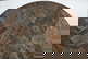 item-170036175=6