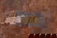 item-170036175=7