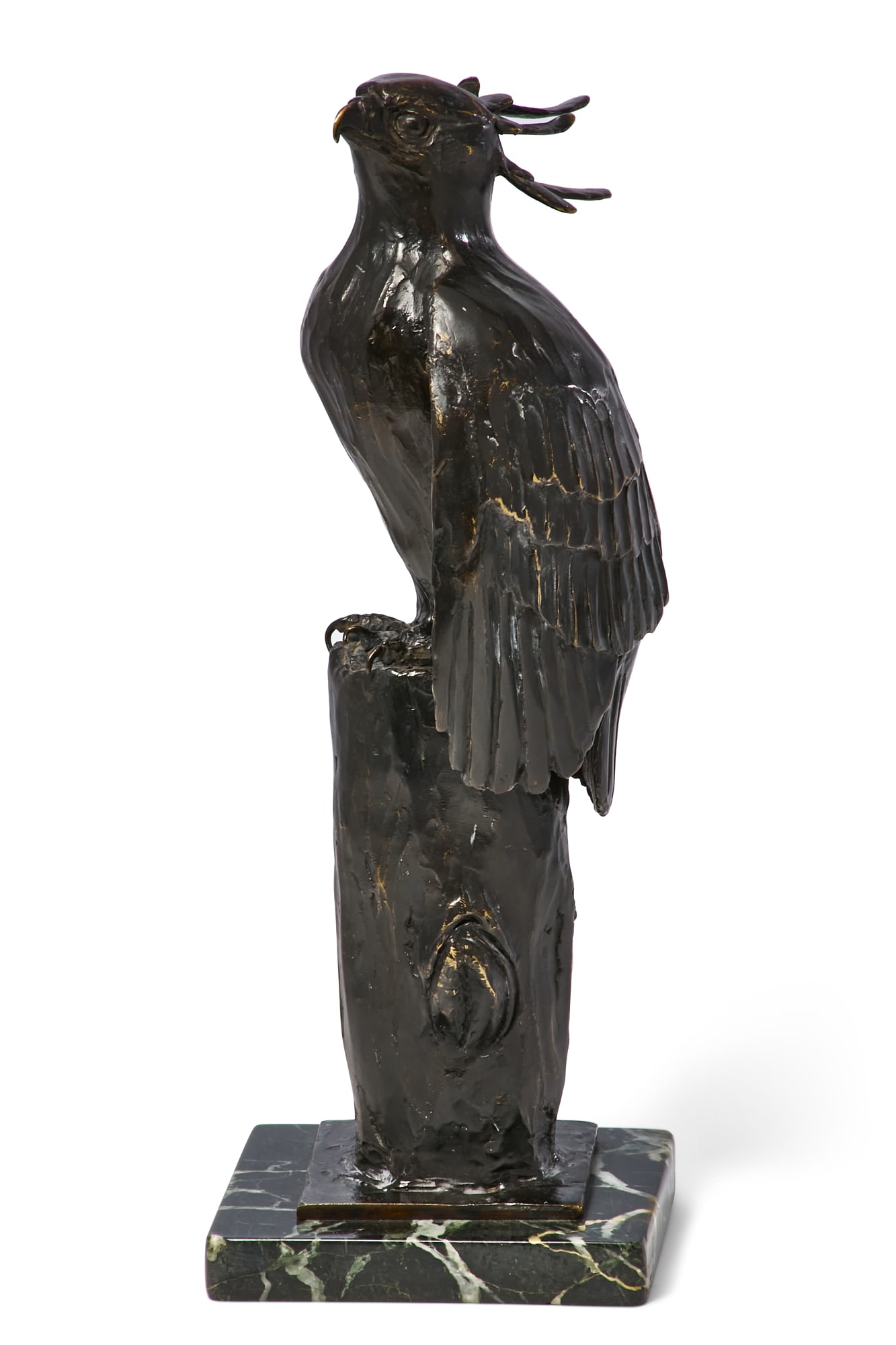 Terry O Mathews, Eagle (1 of 15)
