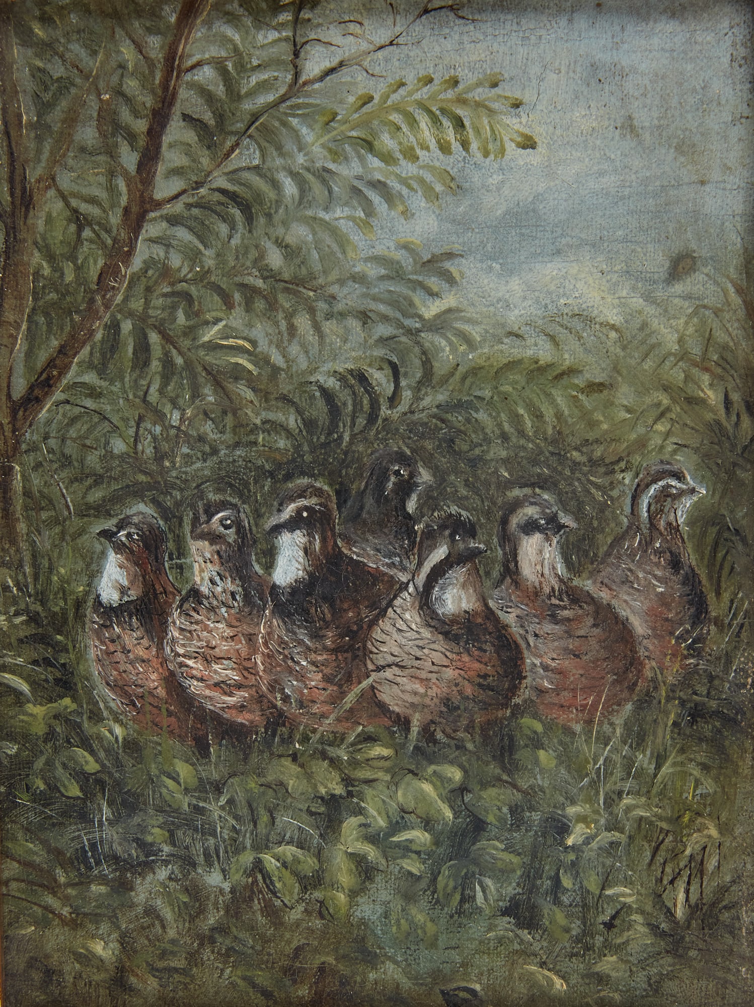 American School, A bevy of quail (1 of 4)