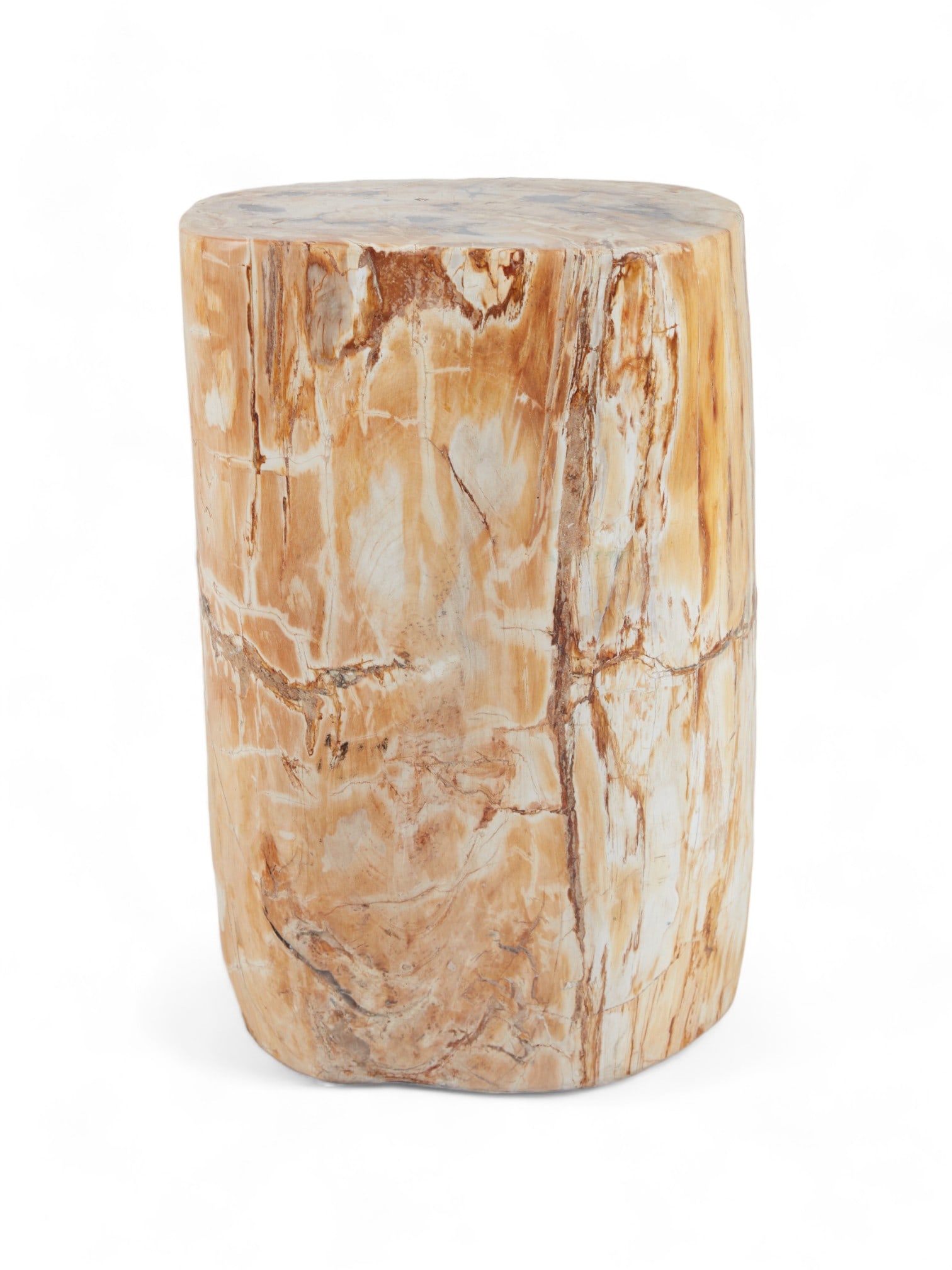 A petrified wood stool (1 of 2)