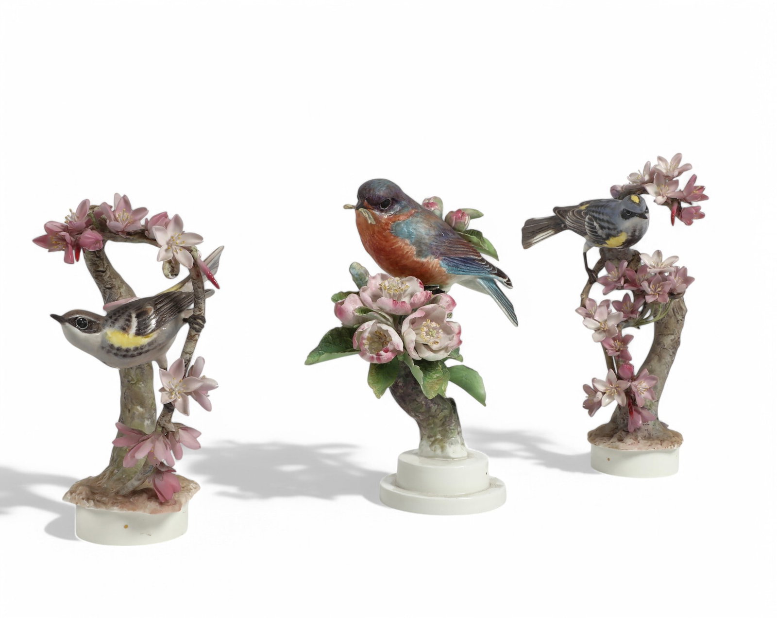 Dorothy Doughty by Royal Worcester - Blue Bird with Set of Myrtle Warblers: Dorothy Doughty by Royal Worcester - Blue Bird with Set of Myrtle Warblers