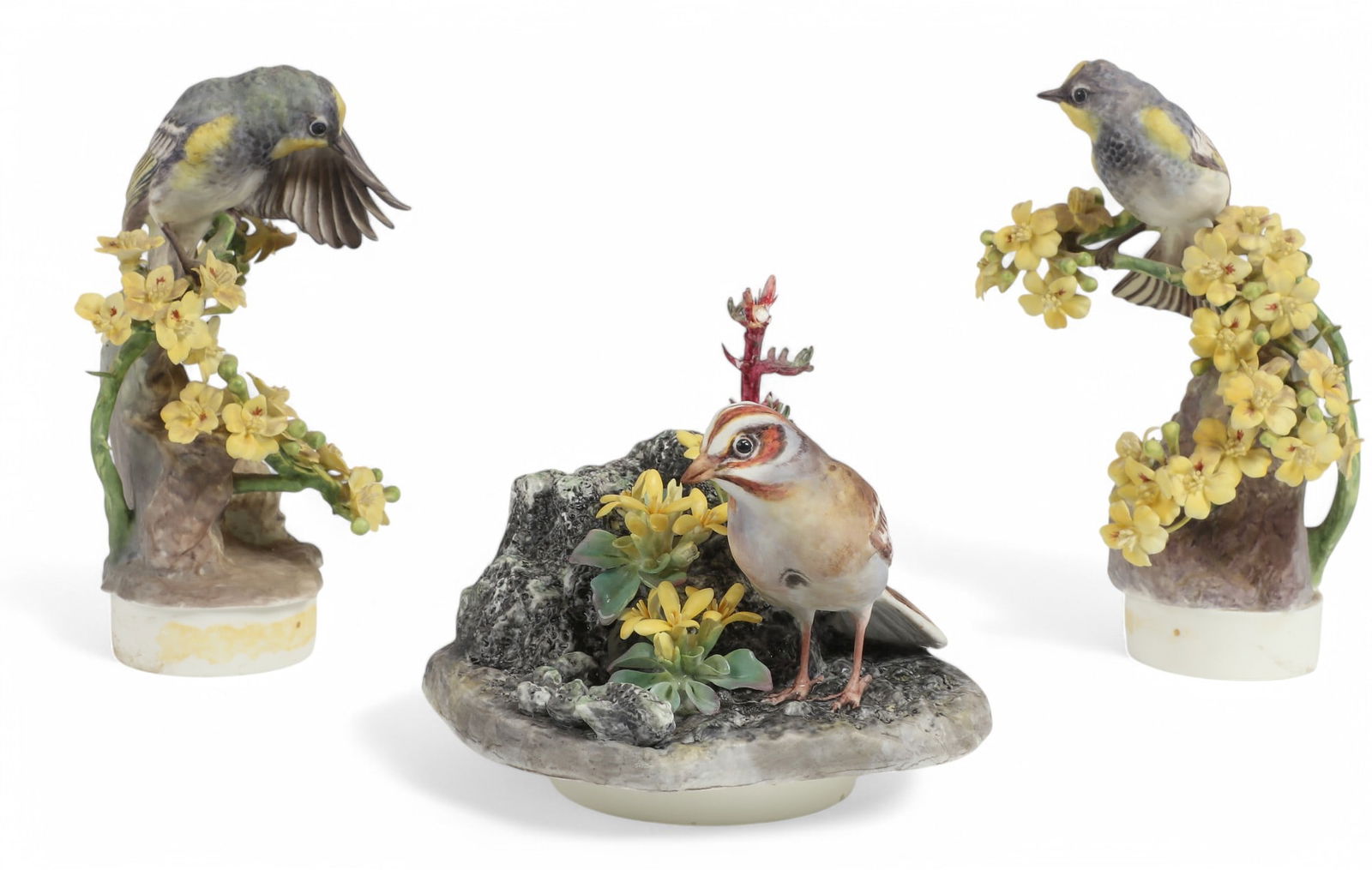 Dorothy Doughty Royal Worcester porcelain birds (1 of 9)