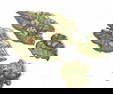 Four Anna Weatherley porcelain leaf form dishes