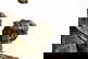 item-208605859=7