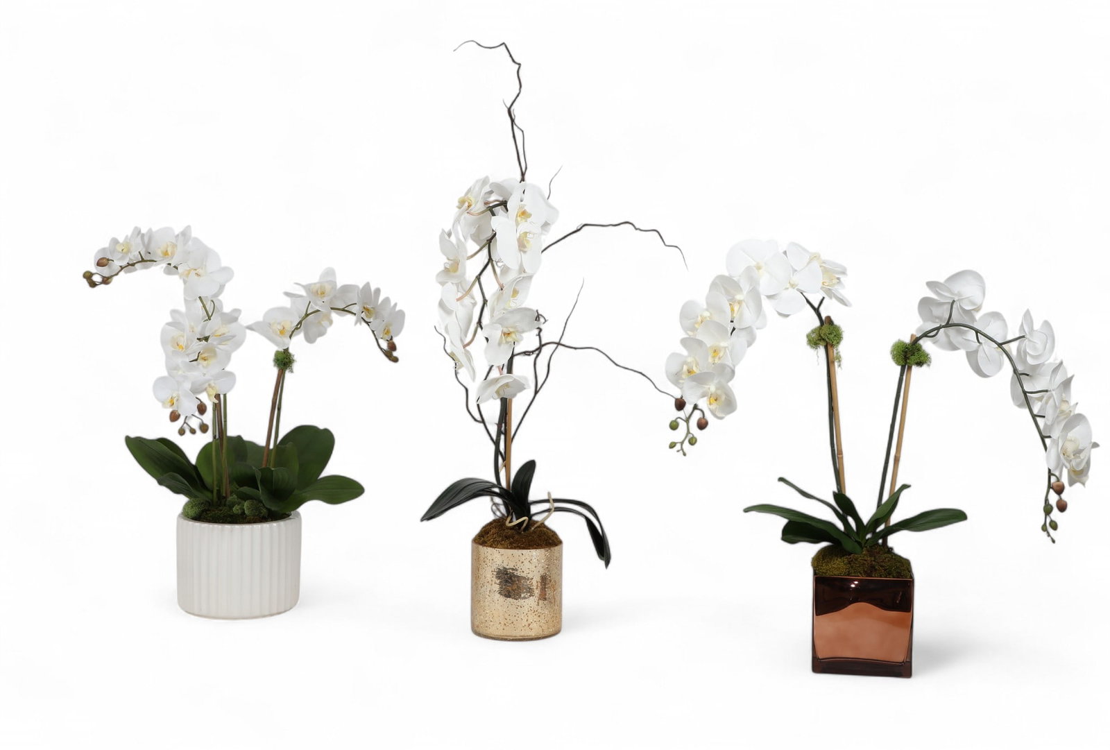 A group of three faux orchid plants: A group of three faux orchid plants