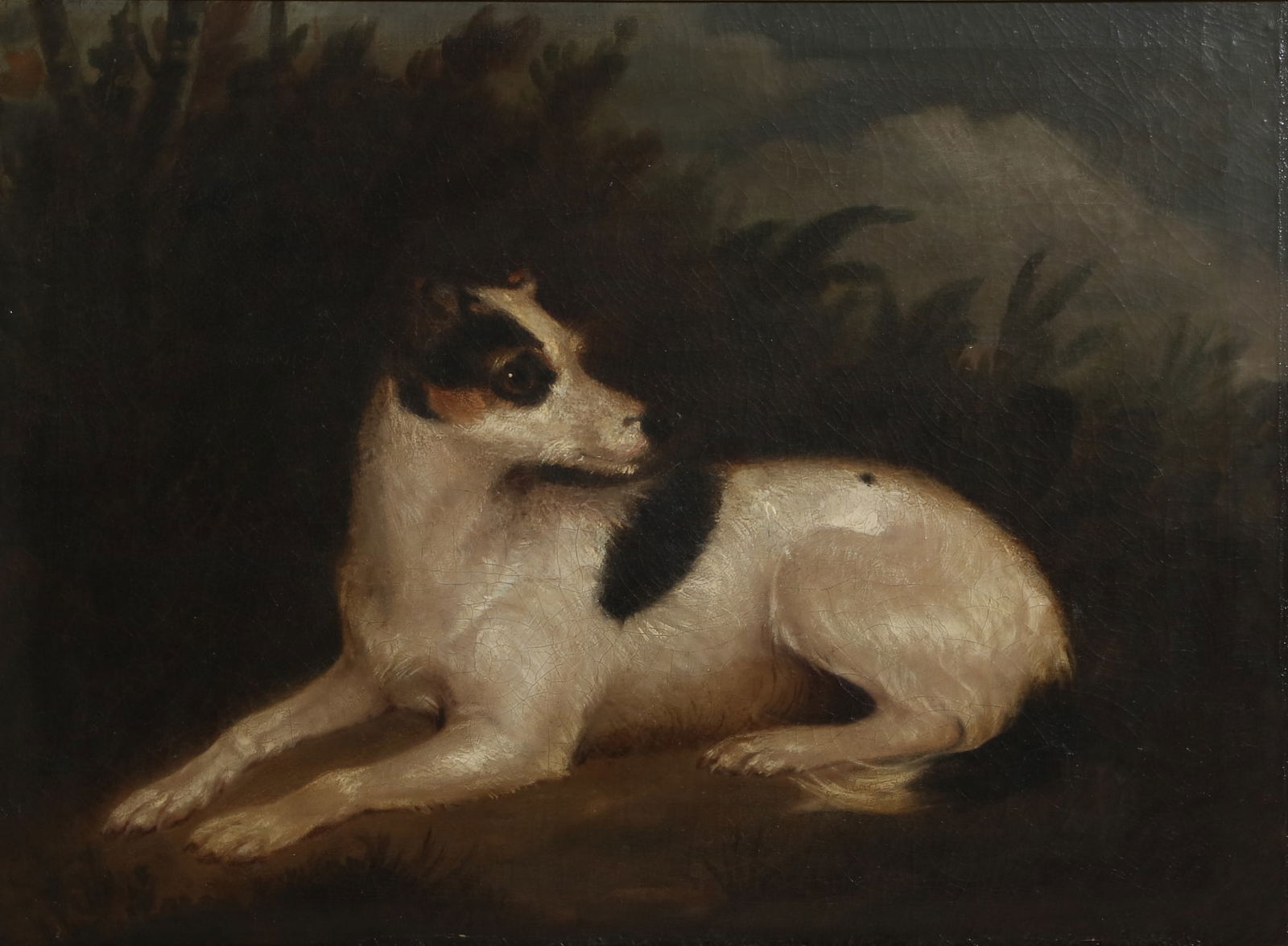 Continental School (19th century), Portrait of a terrier, oil on canvas, 22 x 29 1/2in (56 x 75cm) (1 of 4)