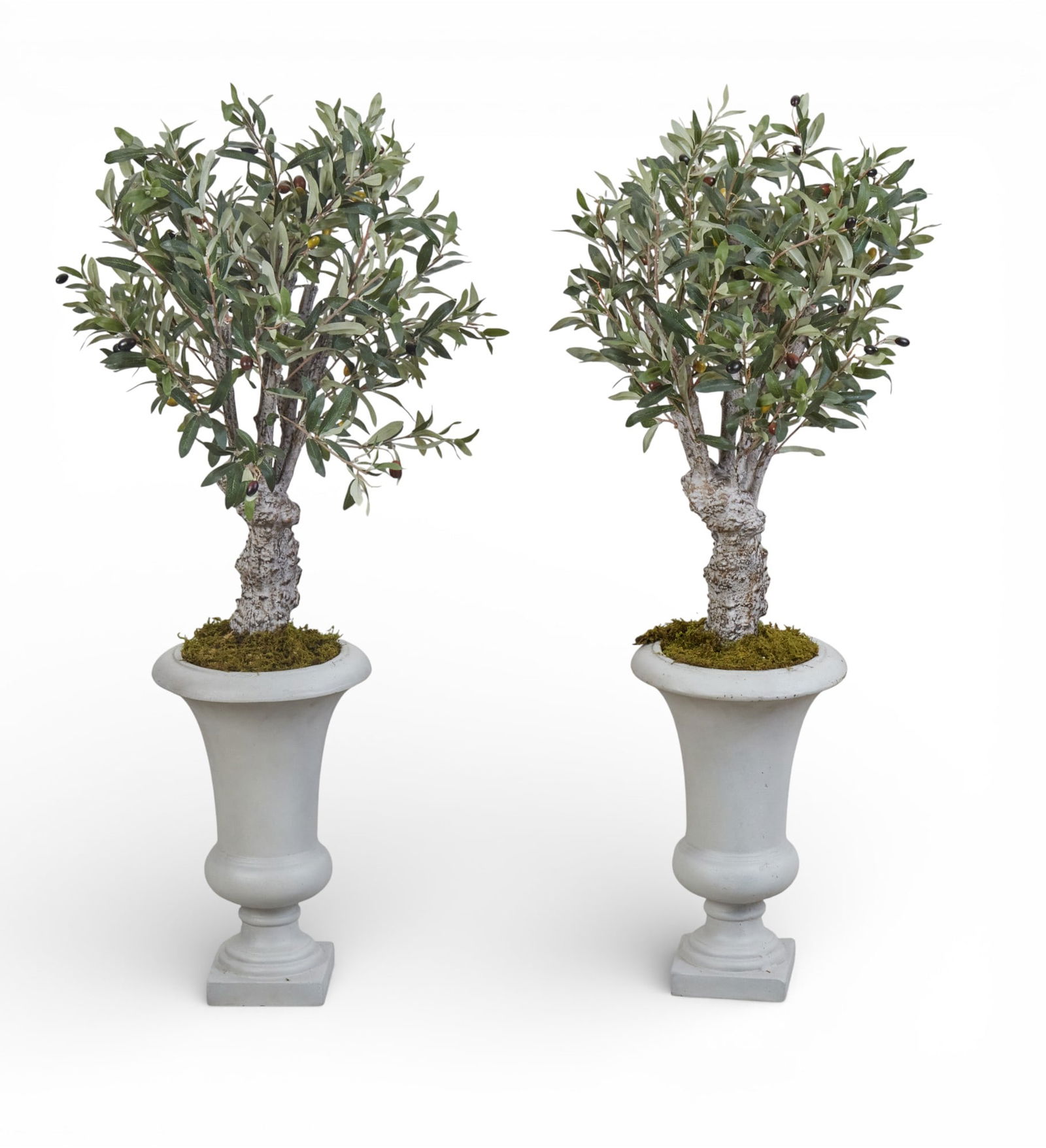 A pair of urns with faux olive trees (1 of 5)