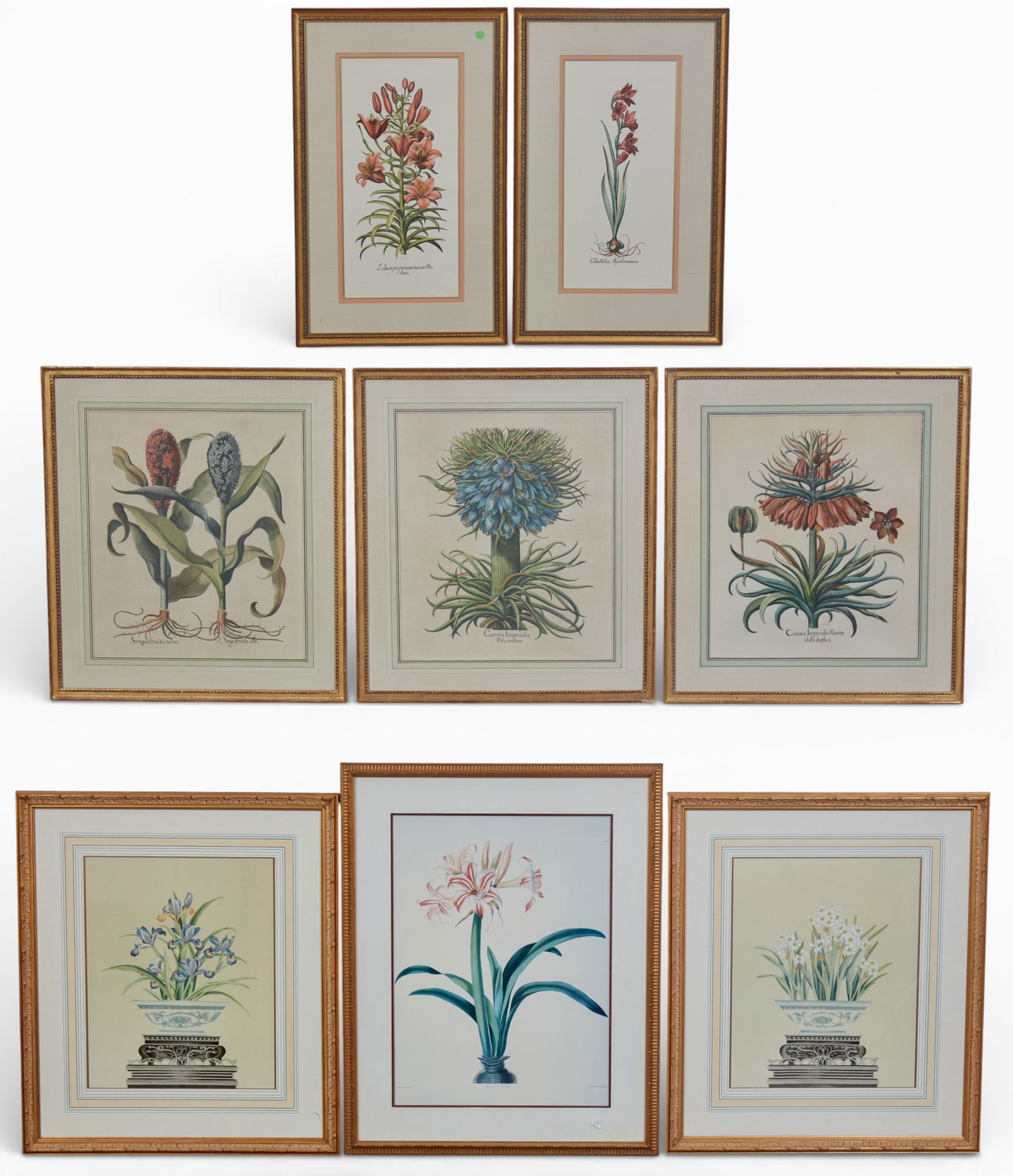 A group of eight framed botanical prints (1 of 15)