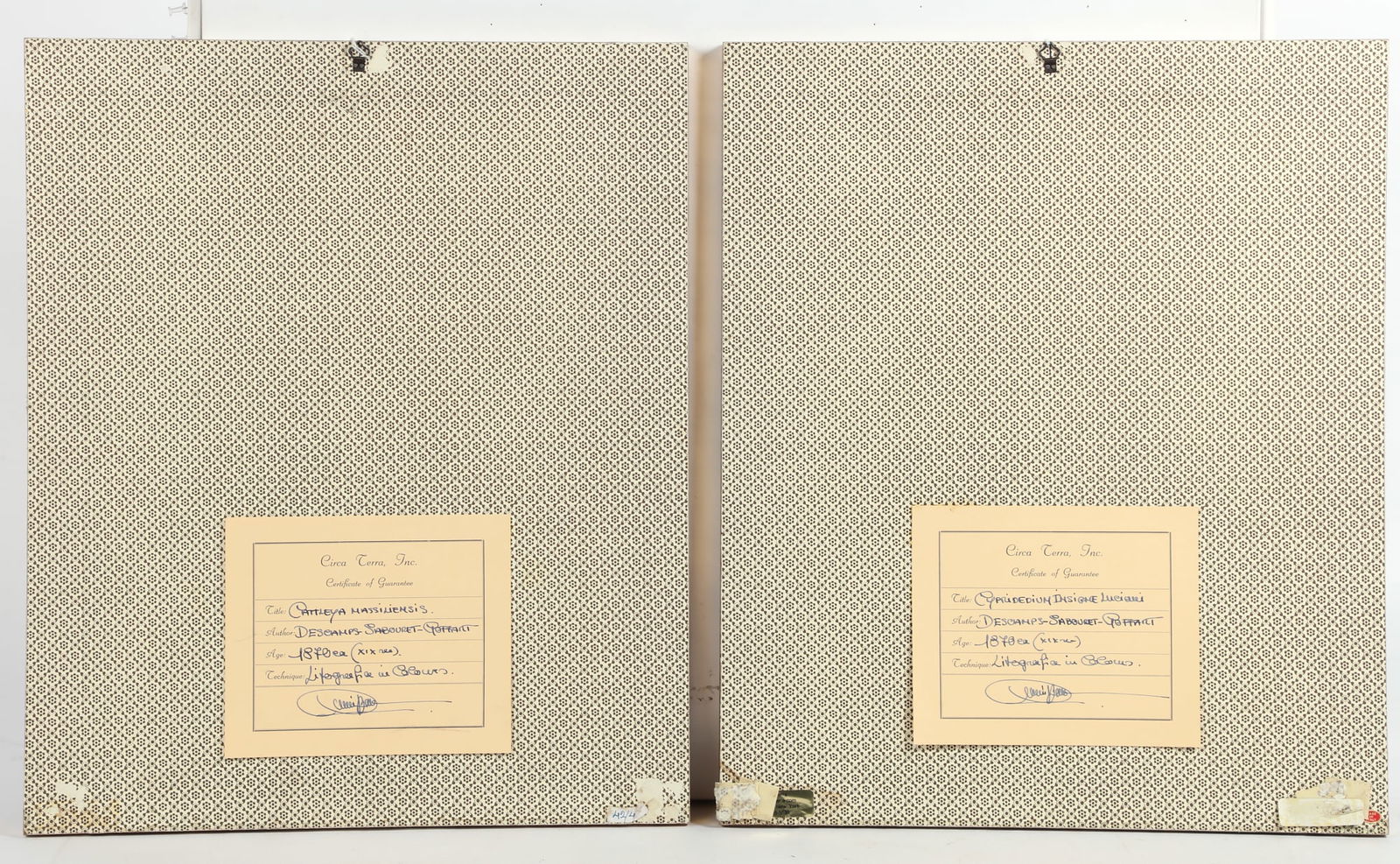 Two framed botanicals - 4