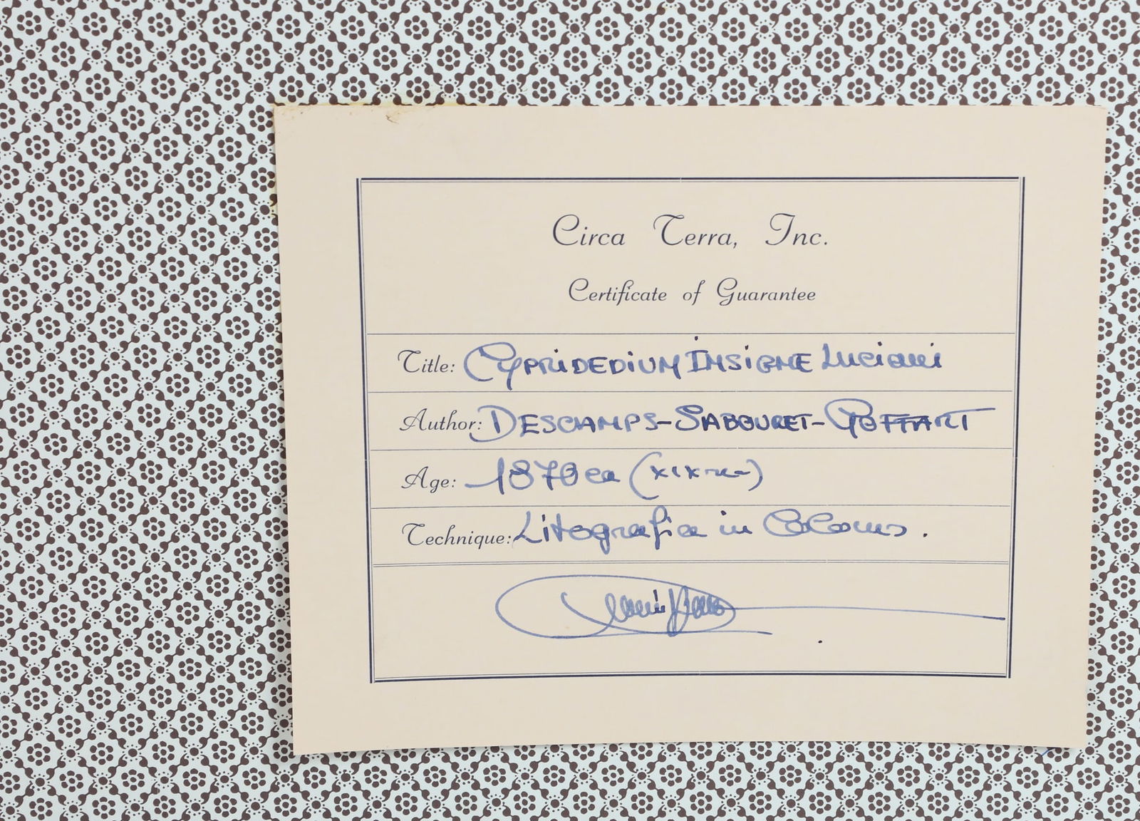 Two framed botanicals - 5