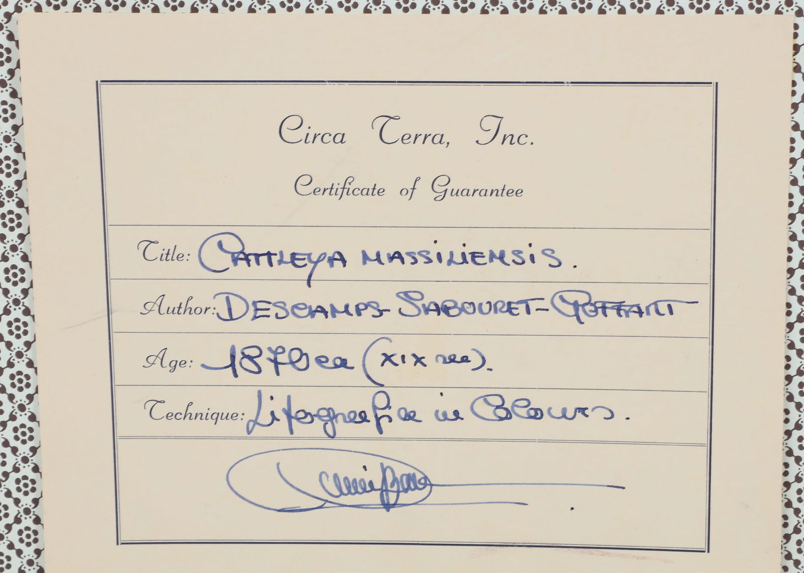 Two framed botanicals - 6