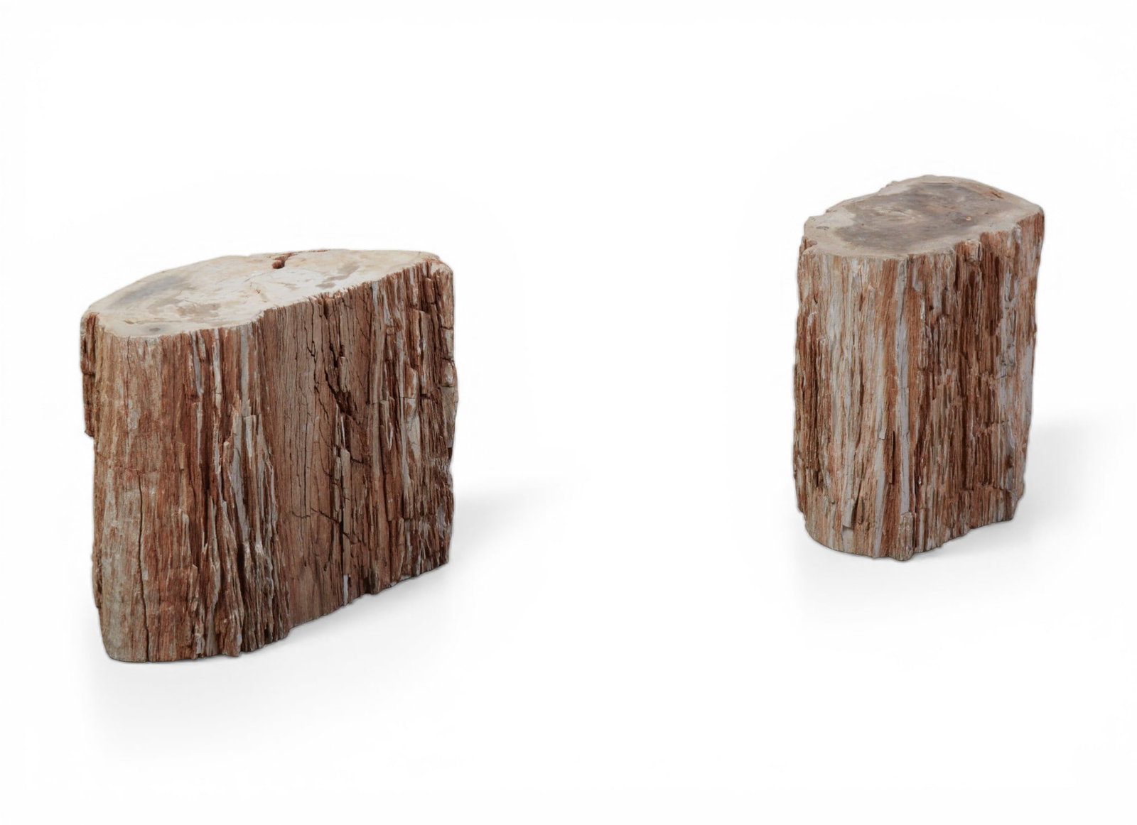 Two natural form petrified wood low tables/stools (1 of 5)