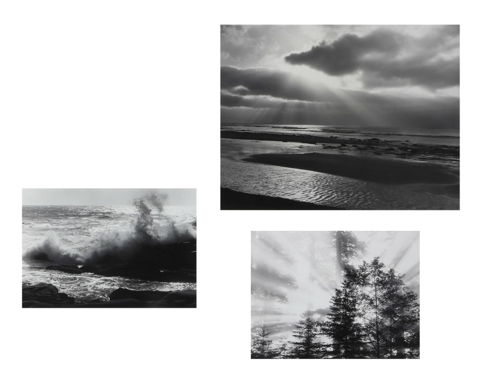 Robert Werling (American, b. 1946), Three photographs, gelatin silver prints laid to matt boards, 14 (1 of 10)